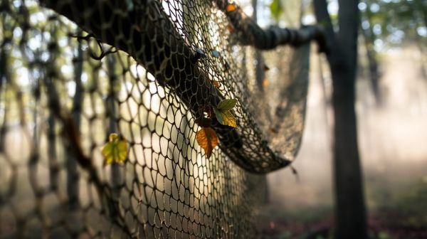 Top camo netting ideas for outdoor enthusiasts to buy online